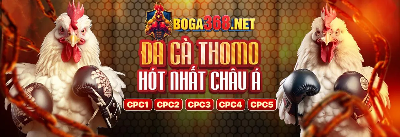 Hoàn trả cược thể thao hàng ngày hi88bet