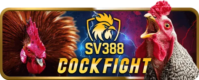Tỷ lệ cược cạnh tranh hi88bet